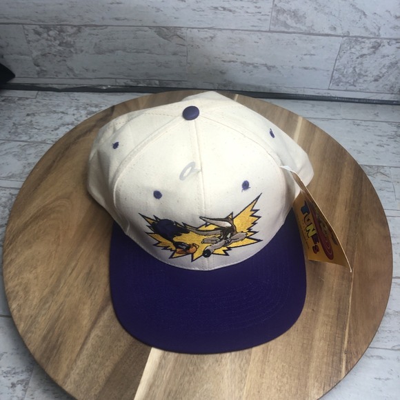 1994 Vintage Looney Tunes Wile E Coyote & Road Runner Embroidered Snapback Hat - Picture 7 of 9